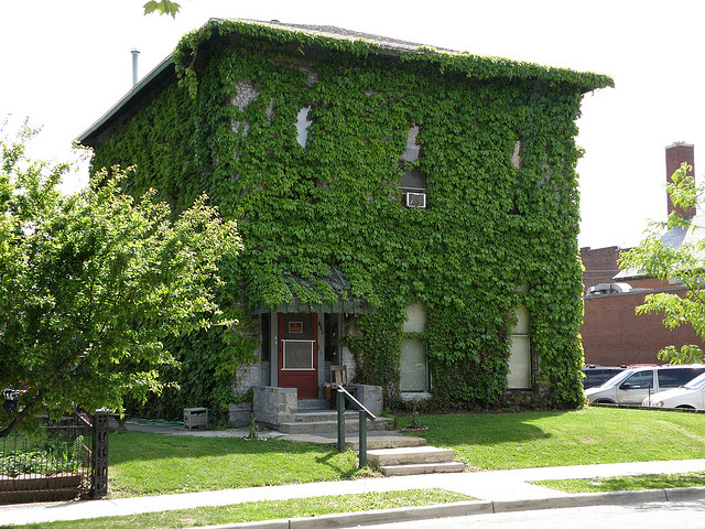 Cutting edge small nursing homes: Green Houses