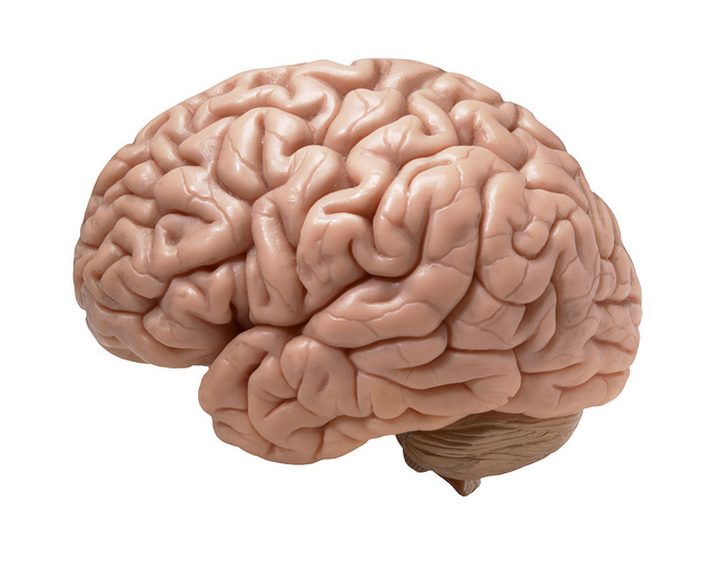Can Parkinson’s disease be treated?