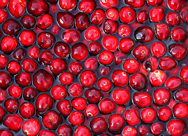 Cranberry juice won’t treat urinary tract infections