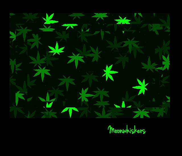 Older adults increasingly using marijuana products with some risk