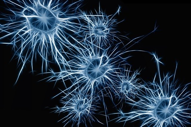 Avoid brain-boosting supplements