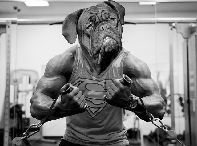 Coronavirus: Should you go to the gym?