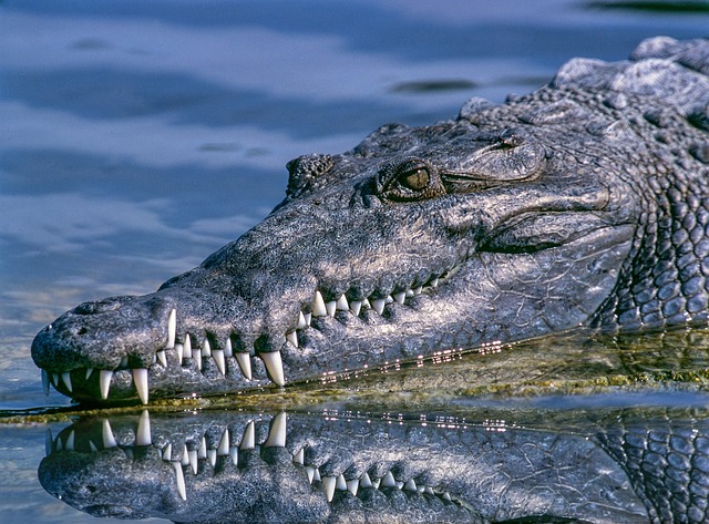Dental fraud: How to protect yourself
