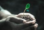 https://pixabay.com/photos/hands-macro-plant-soil-grow-life-1838658/