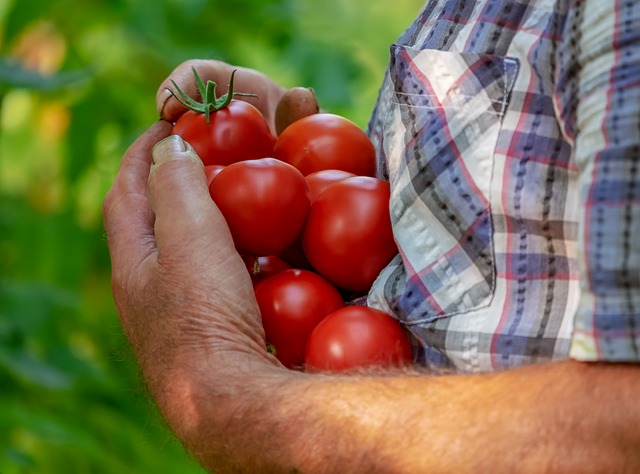 What are the health benefits of eating organic foods?