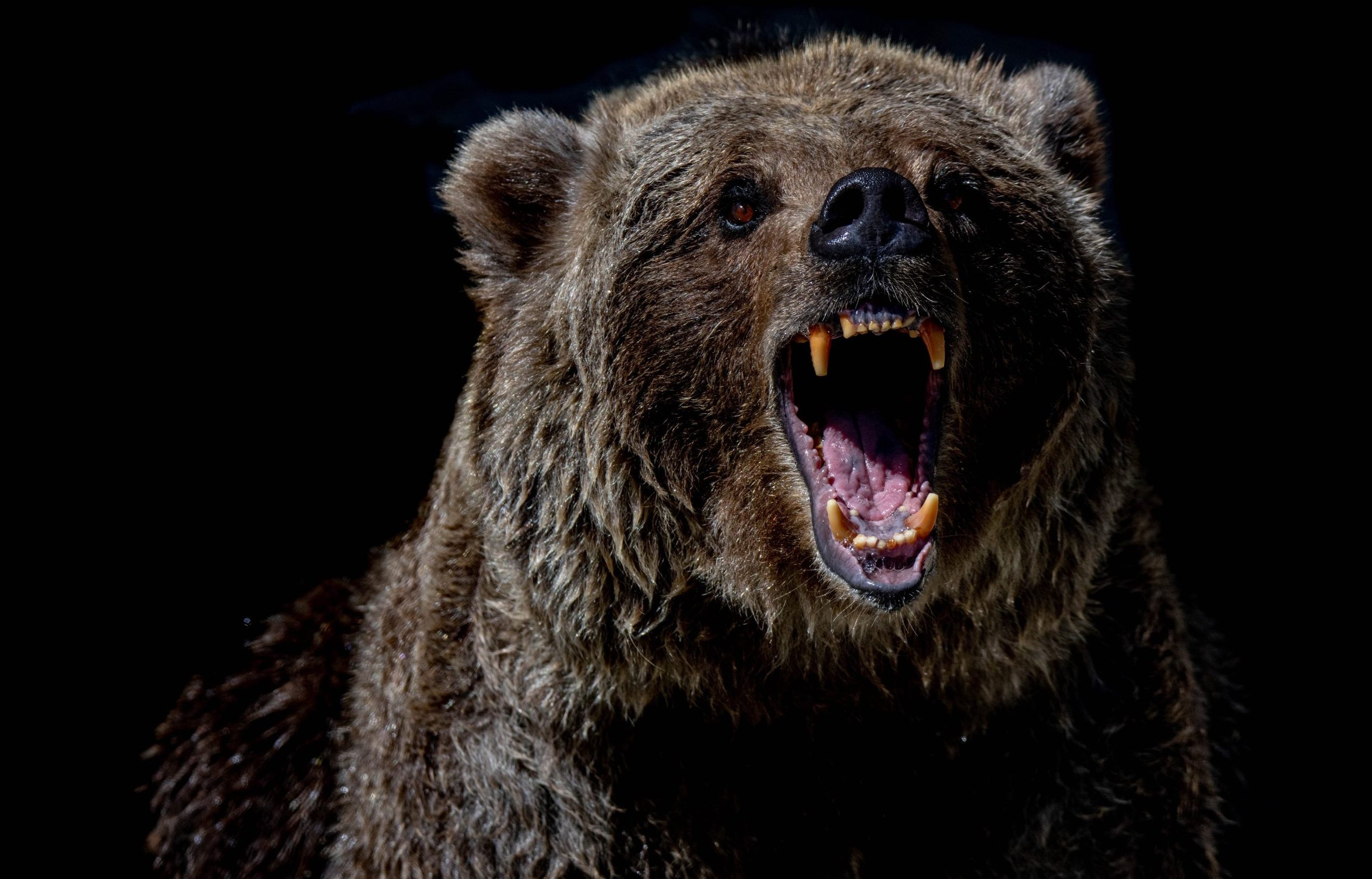 A bear market is jeopardizing people’s retirement security