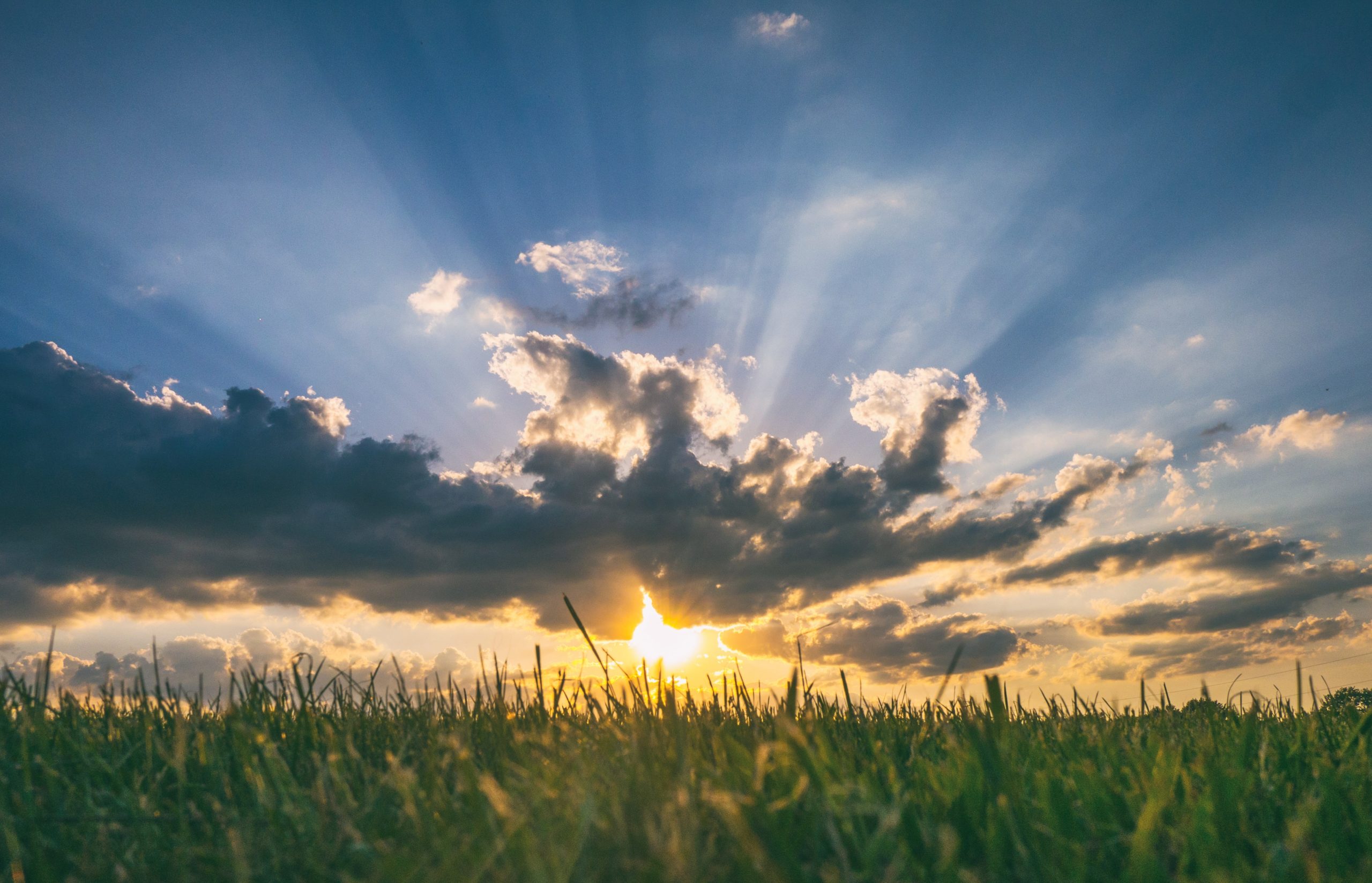 Yes, you need vitamin D, but not from supplements