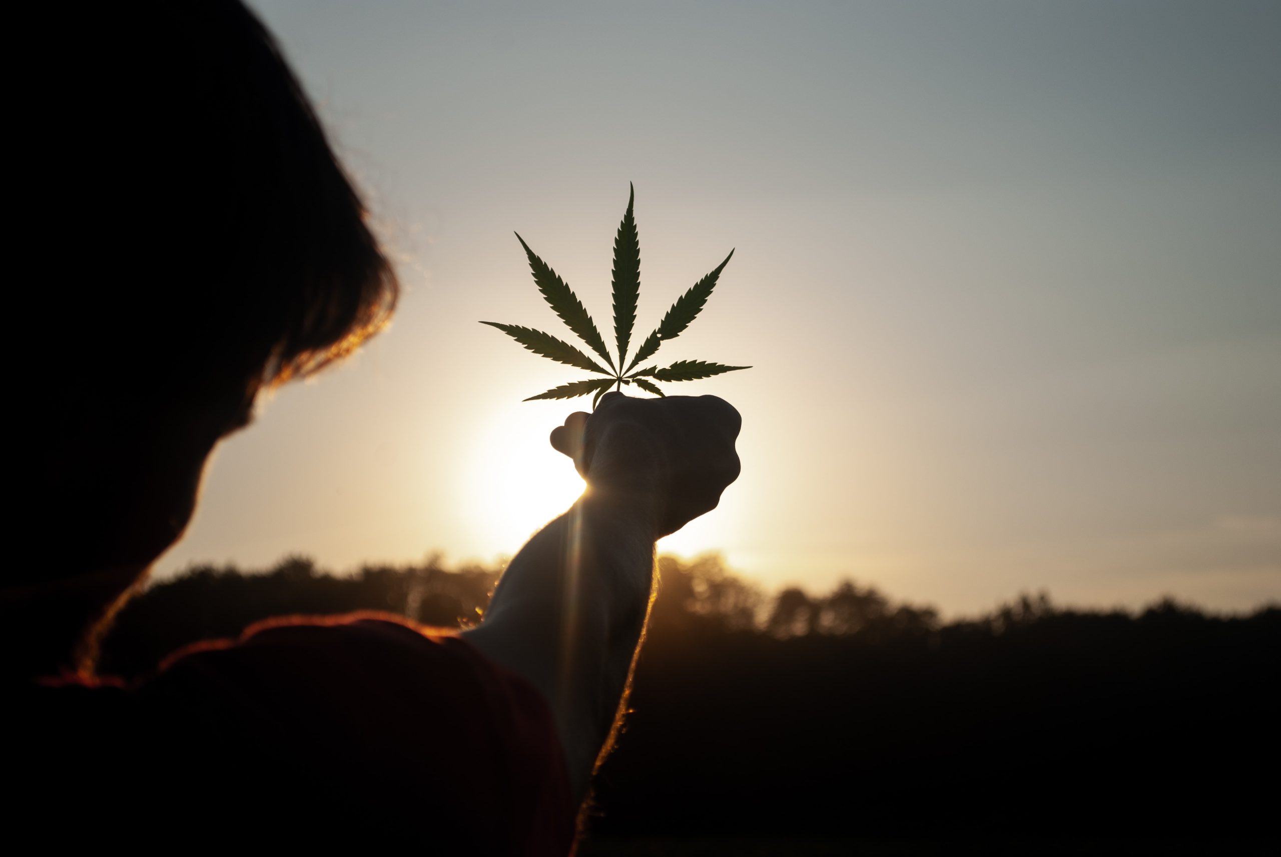 Marijuana appears to offer several benefits…and risks