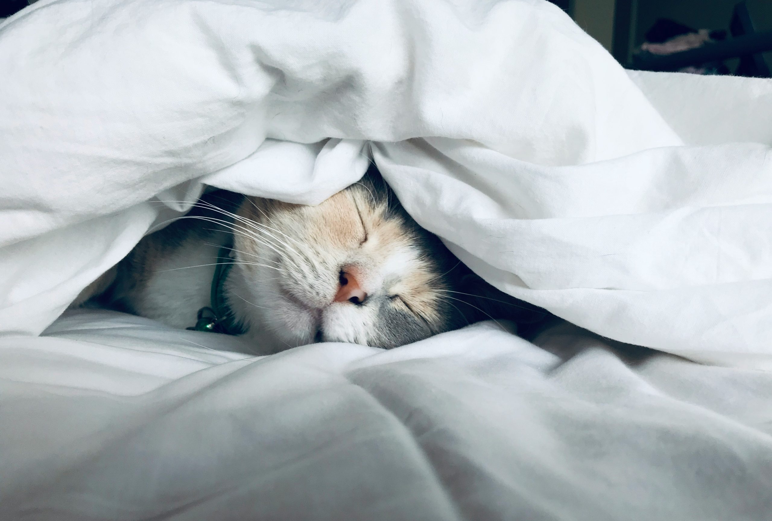 Warning: Poor sleep can increase risk of dementia